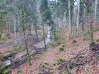 6  Saverne LE WASSERWALD 05 03 2017 50